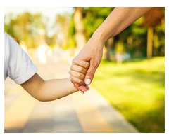 Advance family law – The best family law advisor