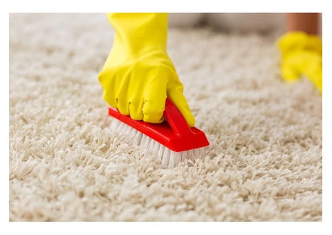 Carpet Cleaning Pakenham - 1/3