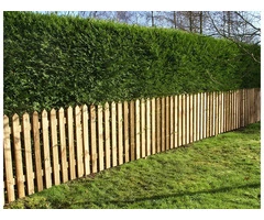 Hire the Best Fencing and Landscape Contractors at Affordable Pricing
