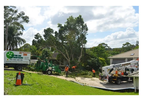 Cutting Edge Tree Maintenance - 5/6