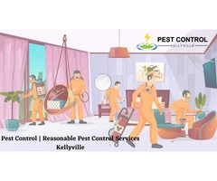 Professional Pest Control Services Kellyville