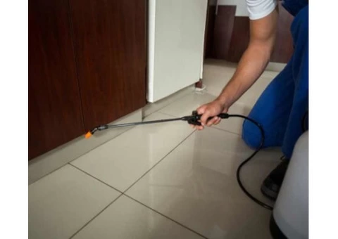 Pest Control Hobart - 3/5