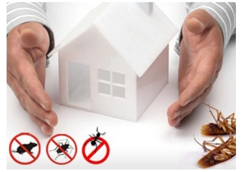 Pest Control Rowville