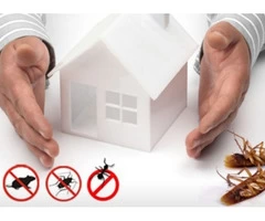 Pest Control Rowville