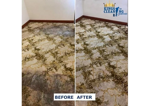 Carpet Cleaning Sutherland Shire