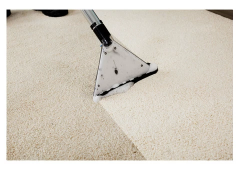 Quick Carpet Cleaning in Fremantle - 2/3