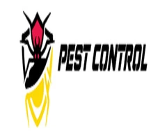 Pest Control Kingston