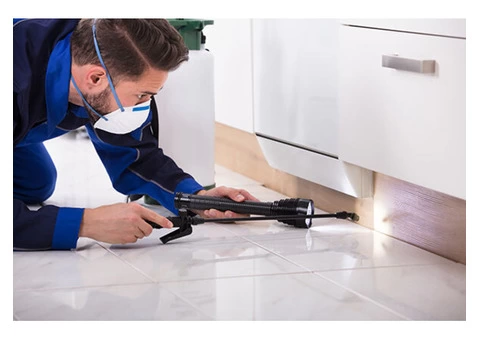 Professional Pest Control Services in Everton Park - 2/2