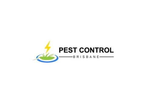 Best And Highest-Ranked Pest Control Services In Brisbane