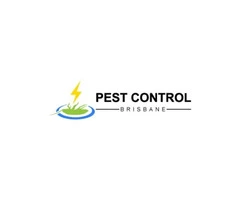 Best And Highest-Ranked Pest Control Services In Brisbane