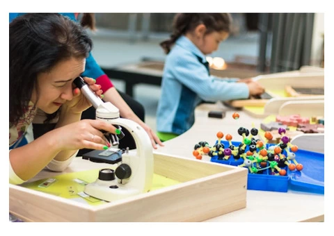 Best STEM Holiday Programs for Primary Schools Students