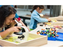 Best STEM Holiday Programs for Primary Schools Students