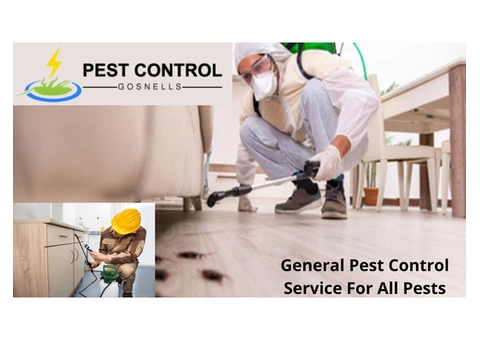 Affordable Pest Control Services in Gosnells