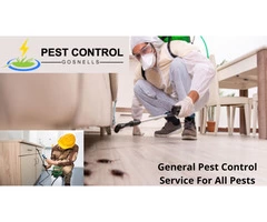 Affordable Pest Control Services in Gosnells