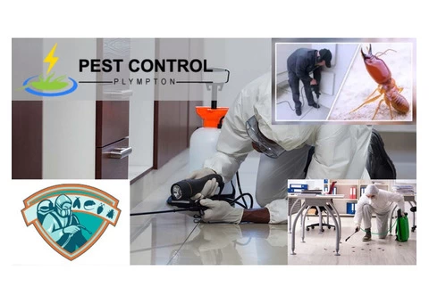 Professional Pest Control Services in Plympton