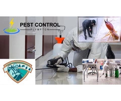 Professional Pest Control Services in Plympton