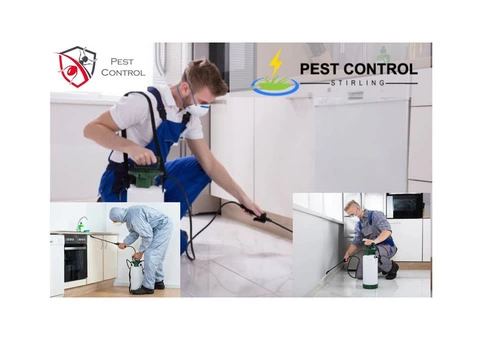Affordable Pest Control Services in Stirling