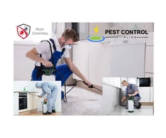 Affordable Pest Control Services in Stirling