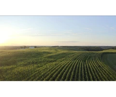 Safe Industries Australia |Consultancy Firm