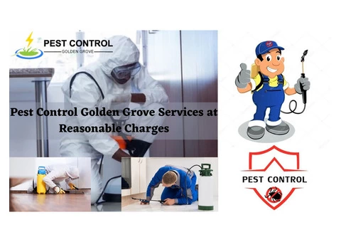 Affordable Pest Control Services in Golden Grove