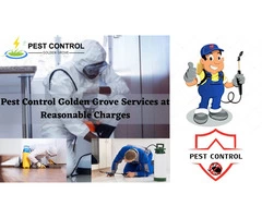 Affordable Pest Control Services in Golden Grove