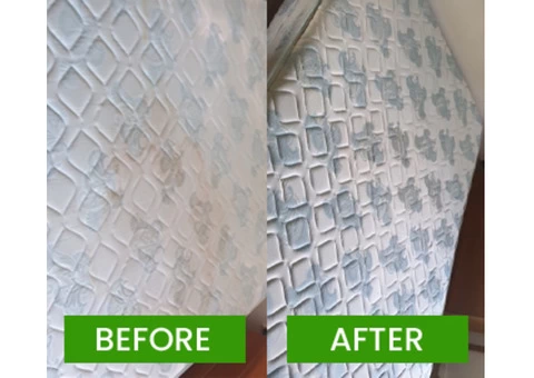 Most Trusted Carpet Cleaning Service in Brisbane - 1/4