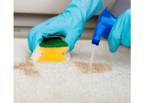Carpet Cleaning Sydney - 1/3