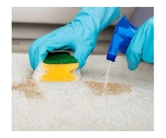 Carpet Cleaning Sydney