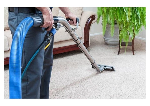 Carpet Cleaning Sydney - 2/3
