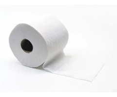 Cheeky Toilet Paper | Tissue Roll Australian