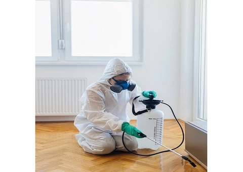 Pest Control Canberra - 1/4