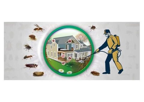 Pest Control Canberra - 3/4