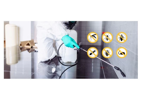 Pest Control Brisbane - 1/3