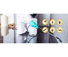 Pest Control Brisbane