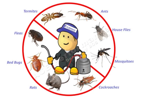 Pest Control Brisbane - 3/3
