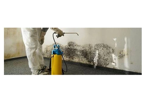 Flood Damage Restoration Brisbane - 3/3