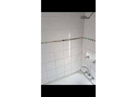 Trusted Leaking Showers Repair Services in Melbourne - 2/3
