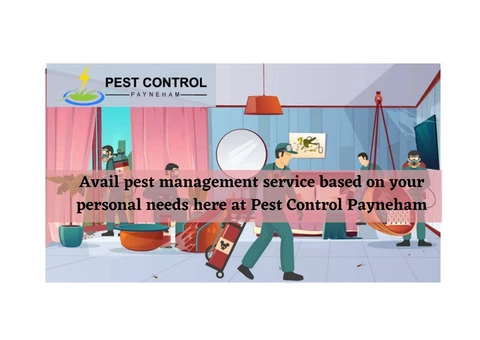 Affordable Pest Control Services in Payneham