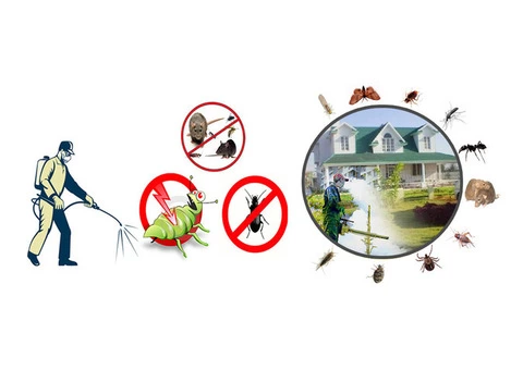 Pest Control Parramatta - 2/6