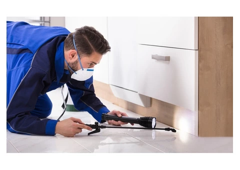 Pest Control Parramatta - 3/6
