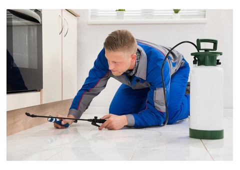 Pest Control Parramatta - 4/6