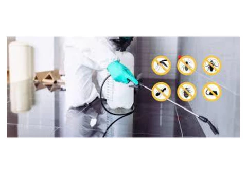 Pest Control Parramatta - 5/6