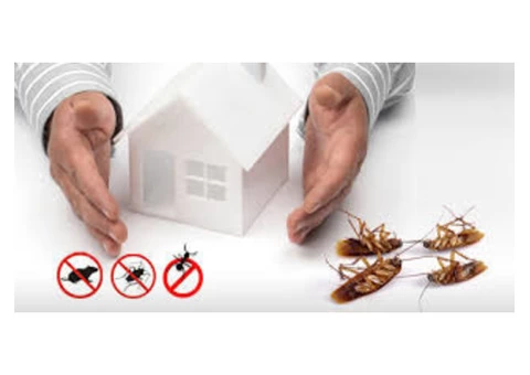 Pest Control Parramatta - 6/6