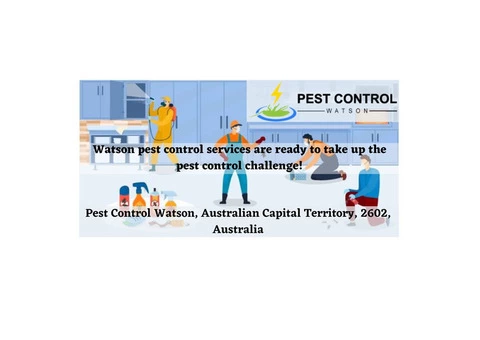 Permanent Pest Control Services in Watson