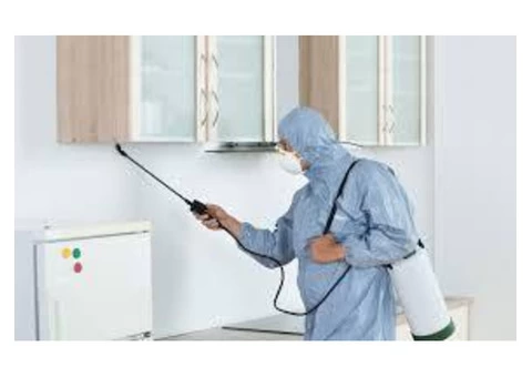 Pest Control Redcliffe - 3/5