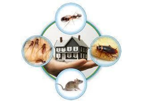 Pest Control Redcliffe - 5/5