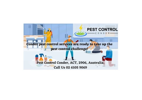 Permanent Pest Control Services in Conder