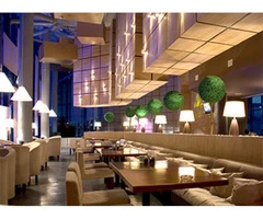 Provide a Clean and familiar Environment by following Sam Koura