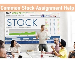 Common Stock Assignment Help