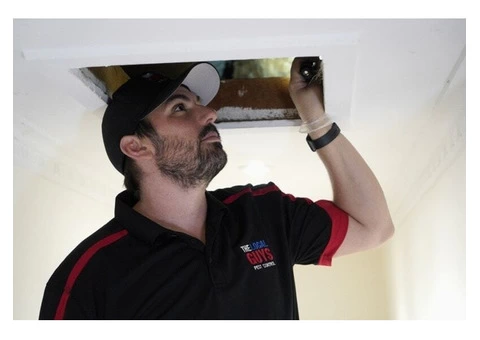 Spider Pest Control Adelaide | Thelocalguyspestcontrol.com.au